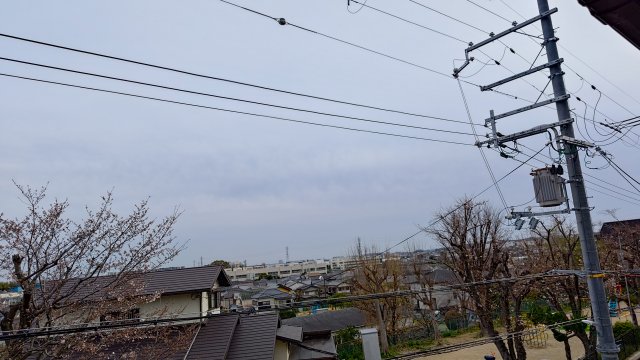 眺望