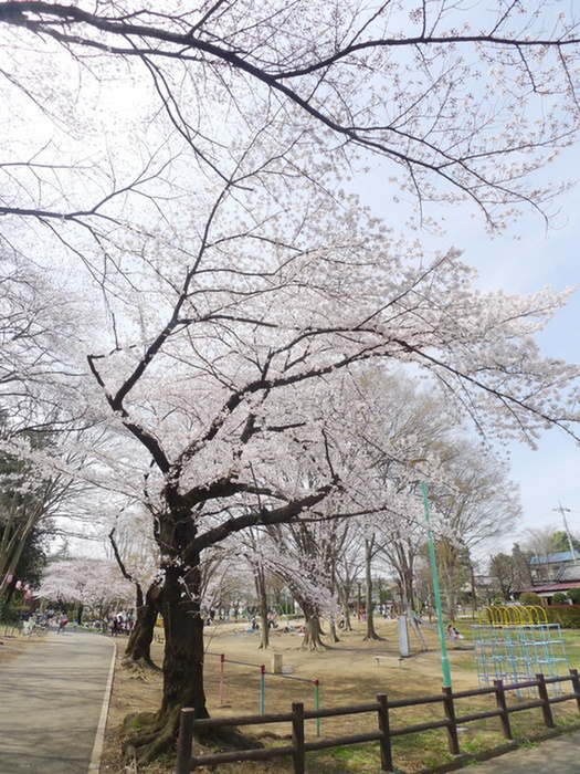 公園　公園（公園）まで10m