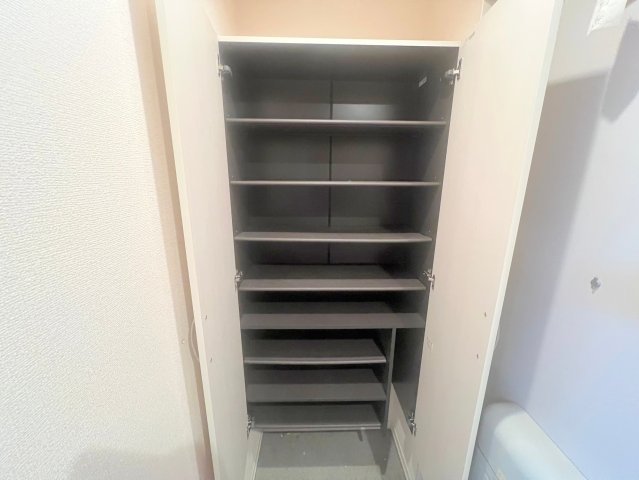 収納　女性にうれしい大きめのシューズボックス。