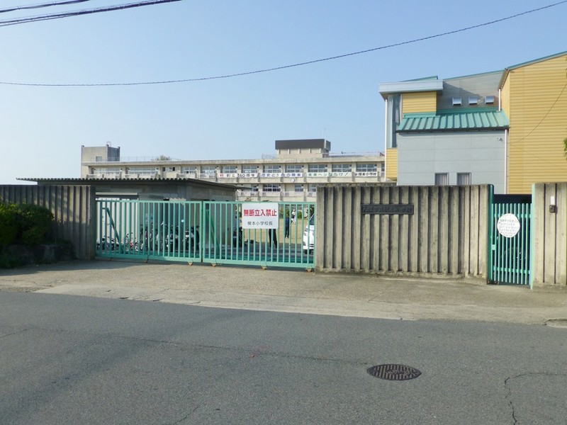 小学校　天理市立櫟本小学校（小学校）まで431m