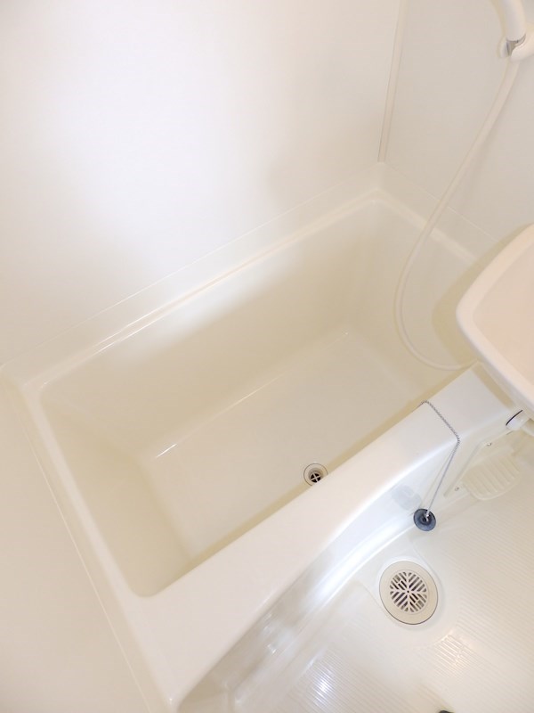 バス・シャワールーム　※同タイプの他のお部屋です