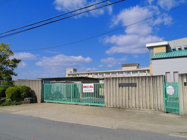 小学校　天理市立櫟本小学校（小学校）まで278m