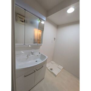洗面設備　リノベーション後の別部屋のイメージ写真になります。