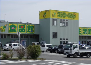 スーパー　フラワーランド 海老名店（スーパー）まで894m