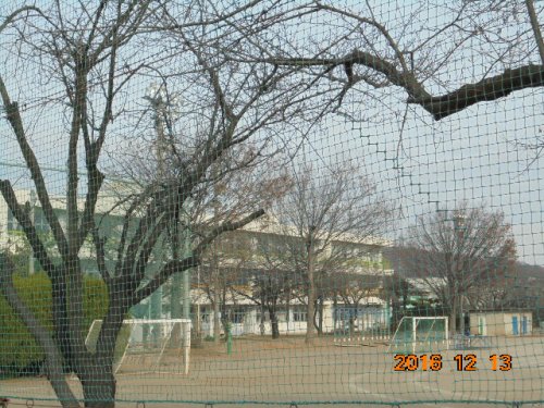 小学校　児玉小学校（小学校）まで803m