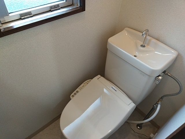 マンションロイヤルアイリスのトイレ写真