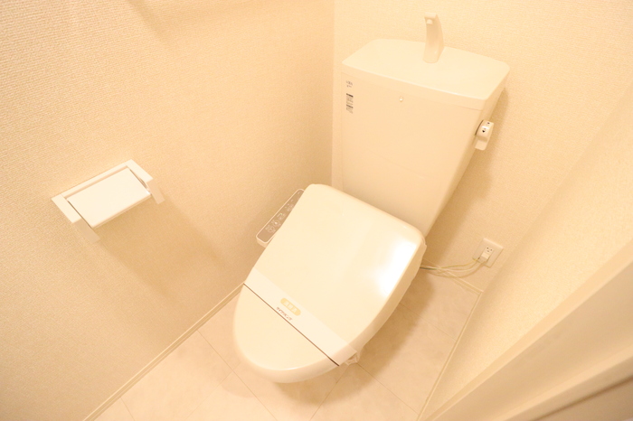 上毛電鉄 片貝駅 徒歩18分 2階建 築10年のトイレ写真