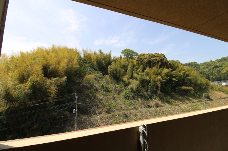 眺望　南向きのお部屋で他に高い建物がないのは嬉しいポイント♪