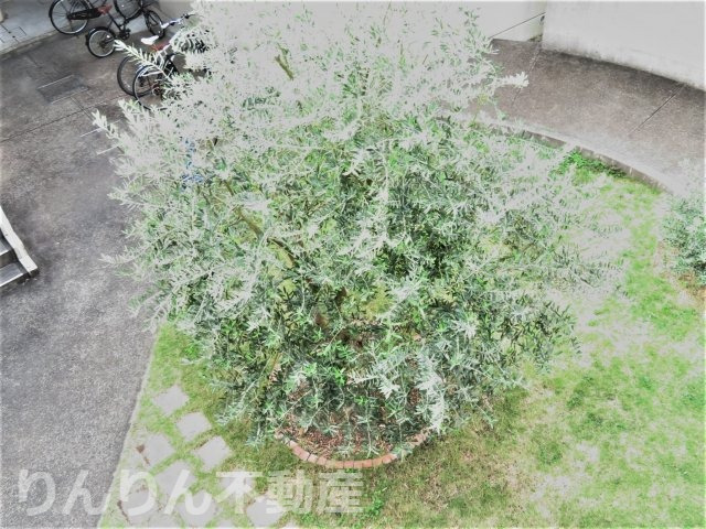 庭　お庭の付いた物件です