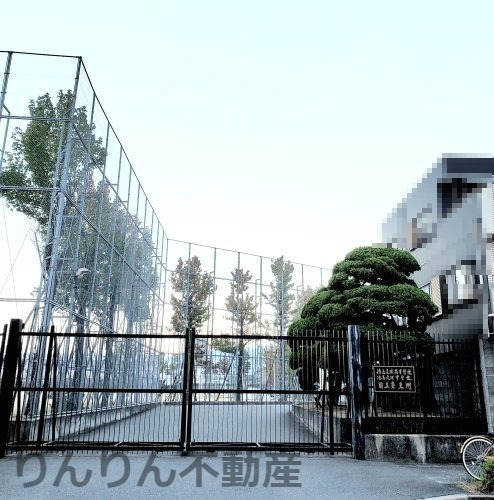 高校・高専　私立徳島文理高校（高校・高専）まで1583m