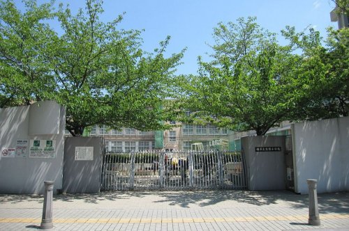 小学校　熊野小学校（小学校）まで662m