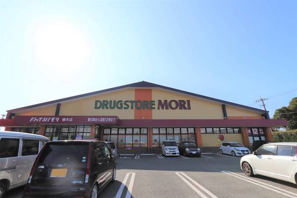 ドラックストア　ドラッグストアモリ植木店（ドラッグストア）まで1126m