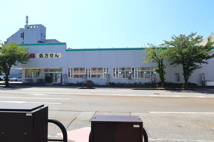 ドラックストア　スギ薬局金沢大手町店（ドラッグストア）まで794m
