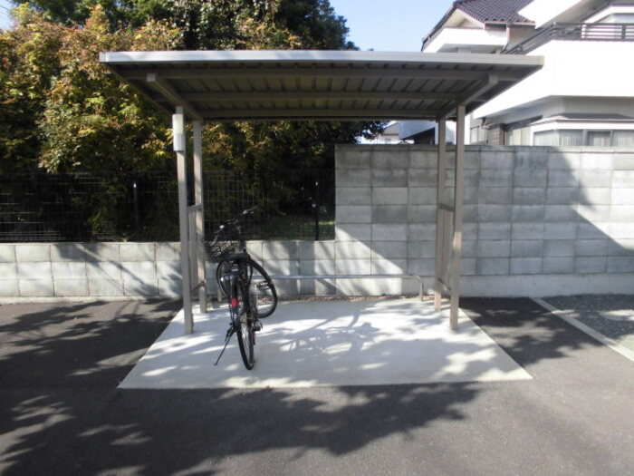 その他　プラタナス