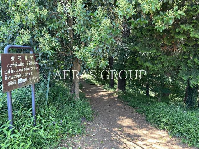 公園　金杉緑地（公園）まで609m