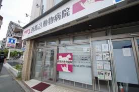 病院　西馬込動物病院（病院）まで296m