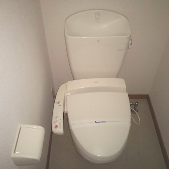 トイレ　※別号室の写真になります