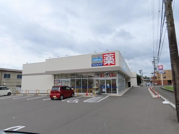 ドラックストア　ウエルシア岐阜琴塚店（ドラッグストア）まで600m