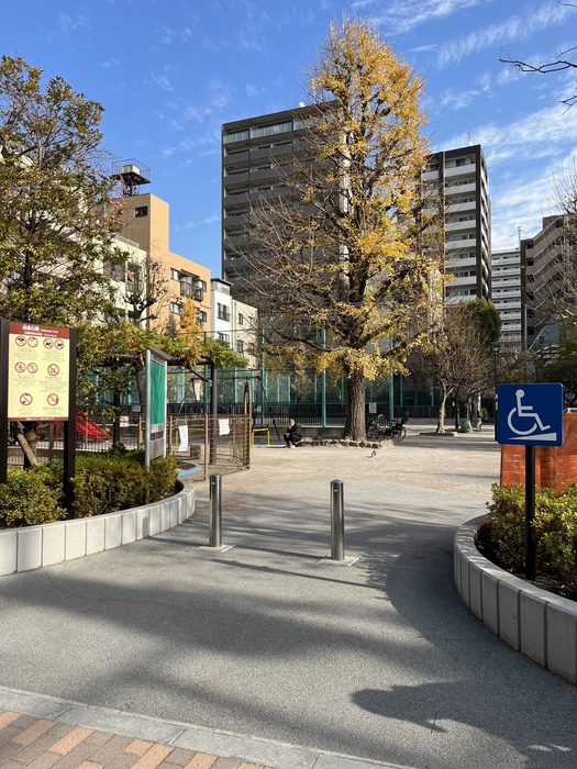 公園　物件（公園）まで100m