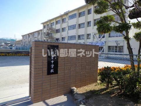 中学校　久留米市立明星中学校（中学校）まで1446m