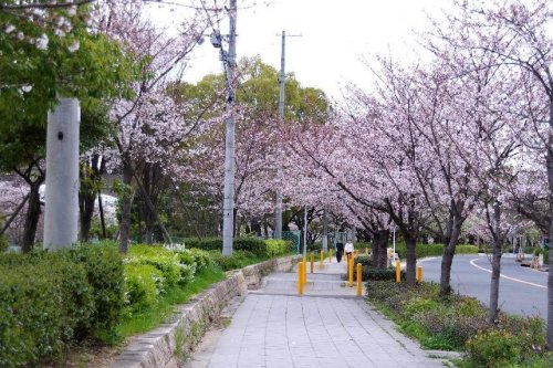 その他　毛馬桜ノ宮公園（その他）まで424m
