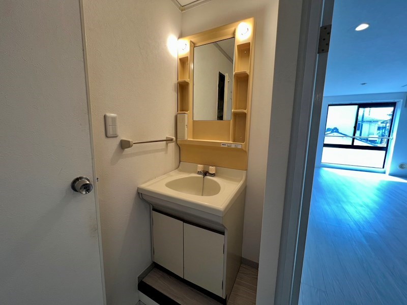 洗面設備　別部屋の写真になります。