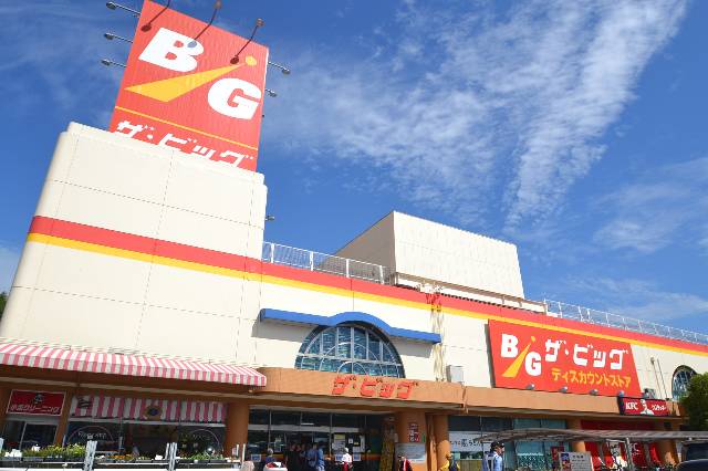 ショッピングセンター　ザ・ビッグ宮内店（ショッピングセンター）まで245m
