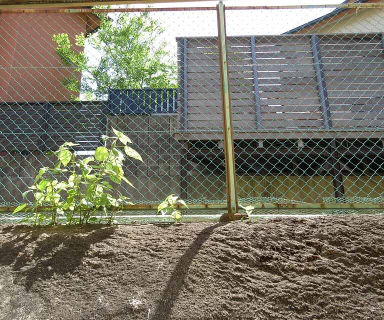 眺望　閑静な住宅地です