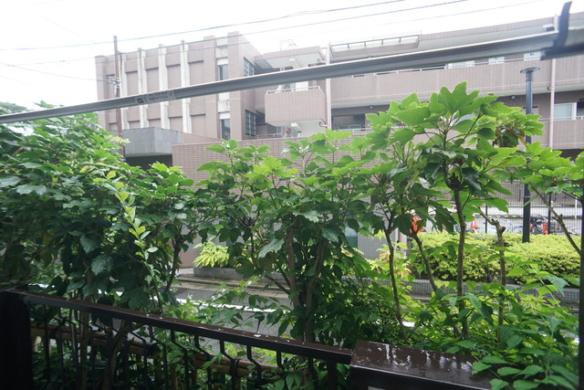 眺望　お部屋からの景色です♪