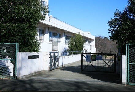 中学校　横浜市立高田中学校（中学校）まで559m