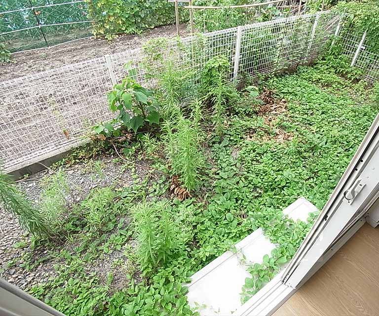 バルコニー　庭付きです