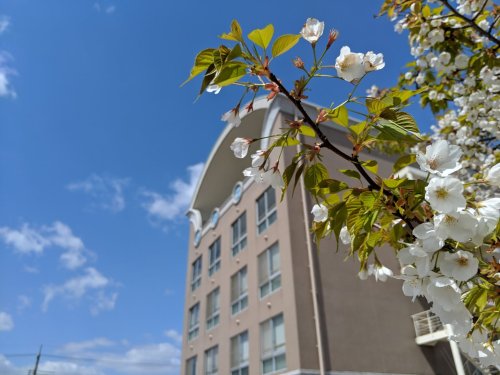 その他　ソワニエ看護専門学校（その他）まで2004m