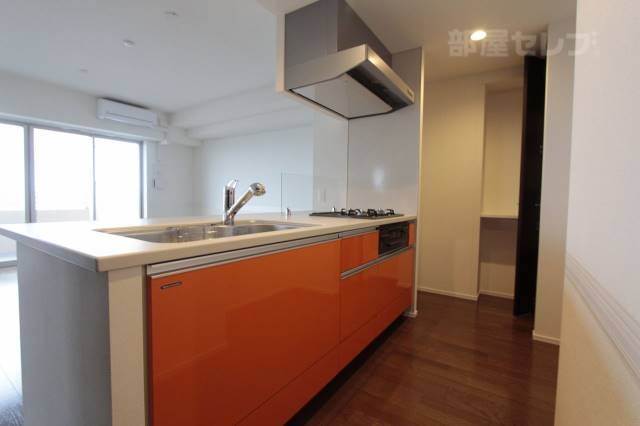 キッチン　ディスポーザー付きのシステムキッチンです。