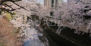 公園　文京区立江戸川公園（公園）まで1675m