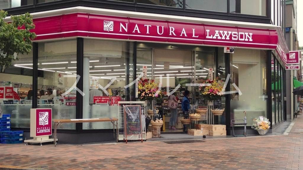 コンビニ　ナチュラルローソン広尾五丁目店（コンビニ）まで390m