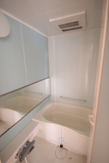 バス・シャワールーム　※別部屋の写真です