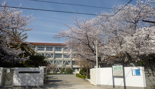 小学校　豊中市立北条小学校（小学校）まで425m