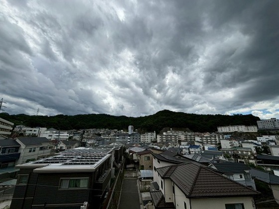 眺望　※別部屋の写真です