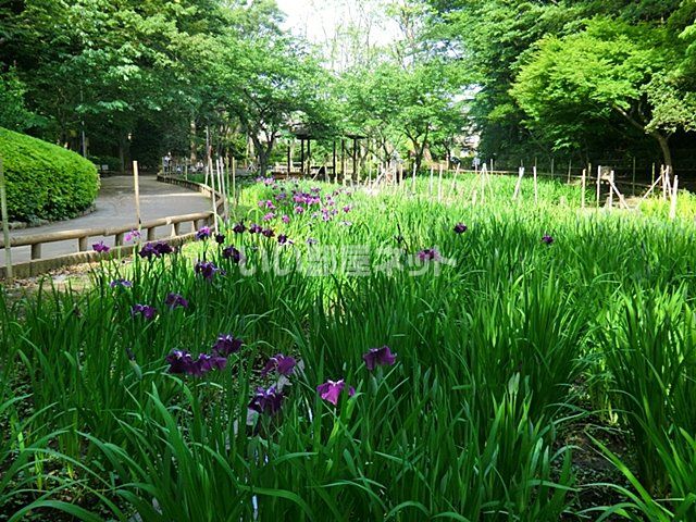 公園　森林公園（公園）まで500m