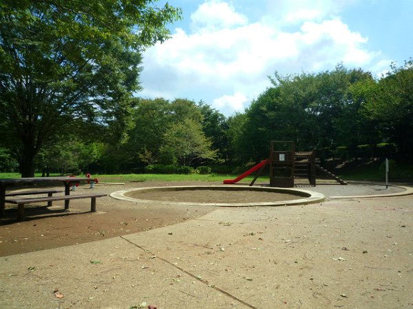 公園　美しが丘近隣公園（公園）まで700m