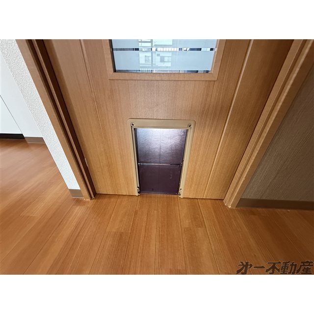その他設備　ペットドア