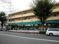 スーパー　コープみらい コープ国分寺店（スーパー）まで450m