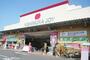 ホームセンター　西村ジョイ 成合店（ホームセンター）まで1205m