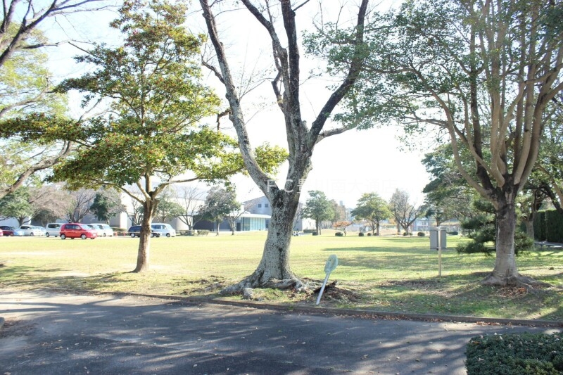 公園　桜ケ丘公園（公園）まで353m