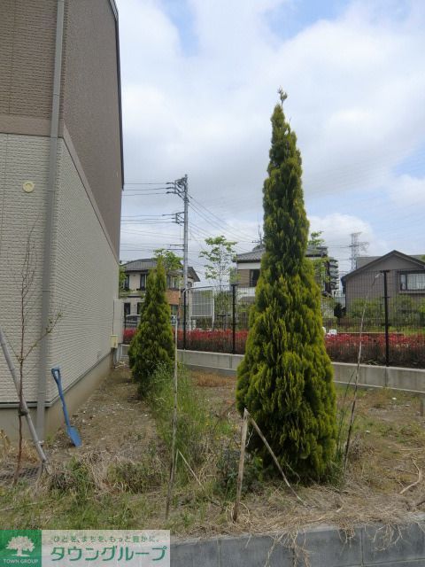 庭　植栽