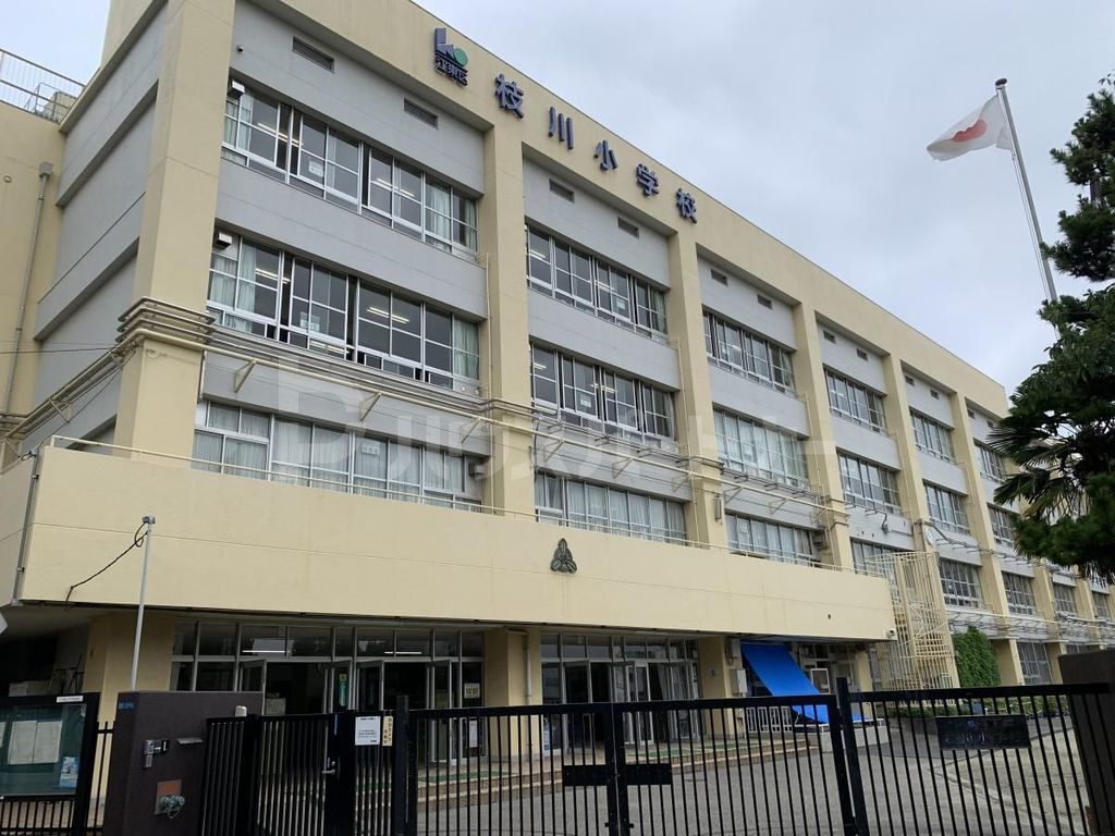 小学校　江東区立枝川小学校（小学校）まで140m