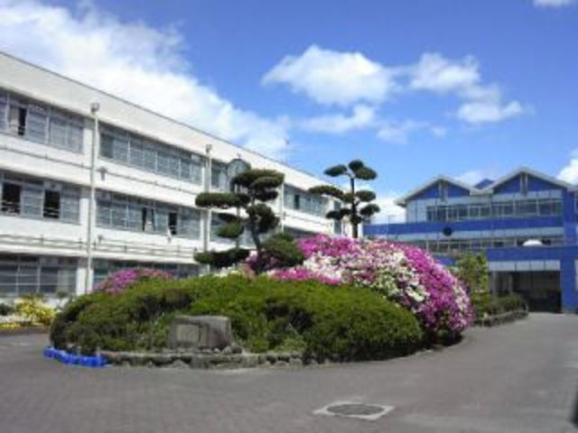 小学校　高槻市立高槻小学校（小学校）まで247m