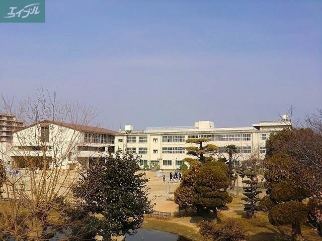小学校　岡山市立岡山中央小学校（小学校）まで1234m