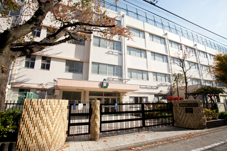 小学校　目黒区立向原小学校（小学校）まで201m