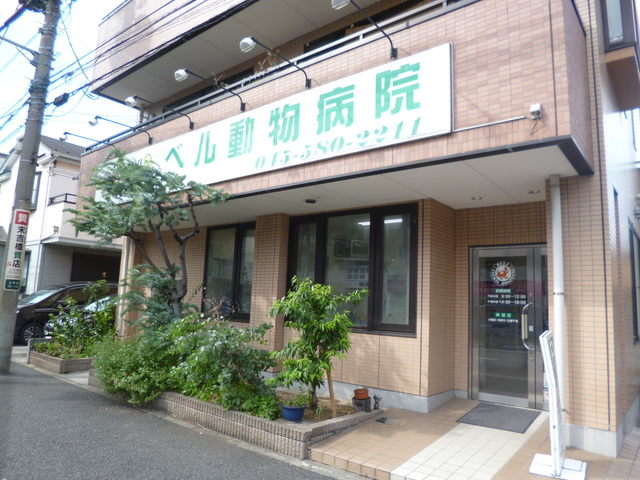 病院　ベル動物病院（病院）まで1043m